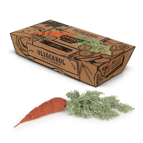 Do-It-Yourself Sewing Kit - Cathy the Carrot