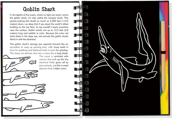Scratch & Sketch - Sharks